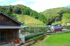 自治体ビジネスでプロモーションを考えるときのポイント