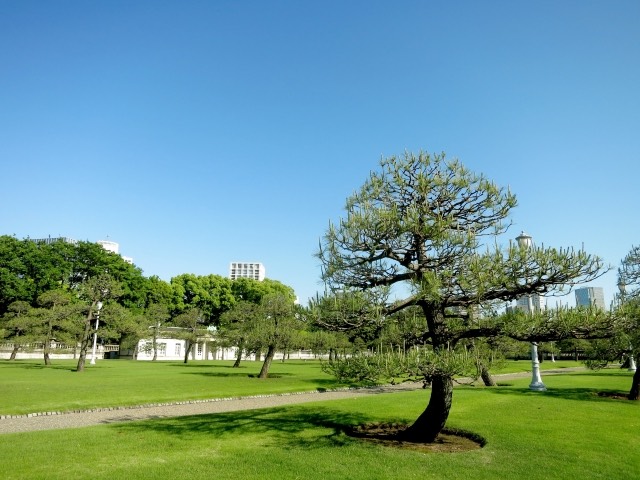 港区の入札の流れは？