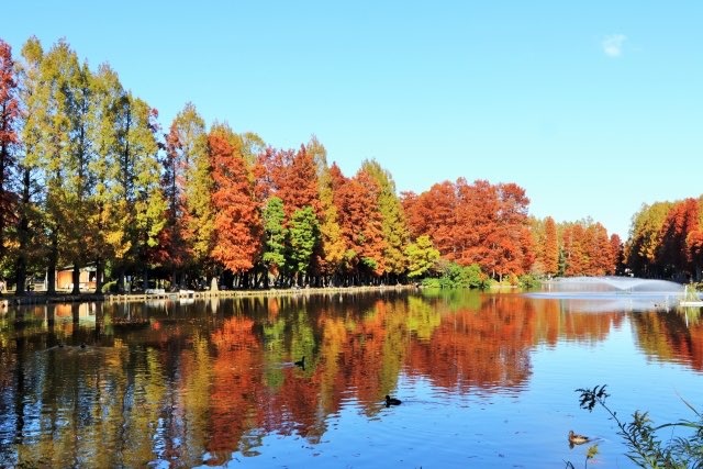 埼玉県の入札の傾向を調べるには？