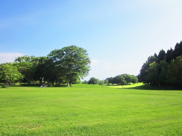 千葉市の入札の傾向を調べるには？