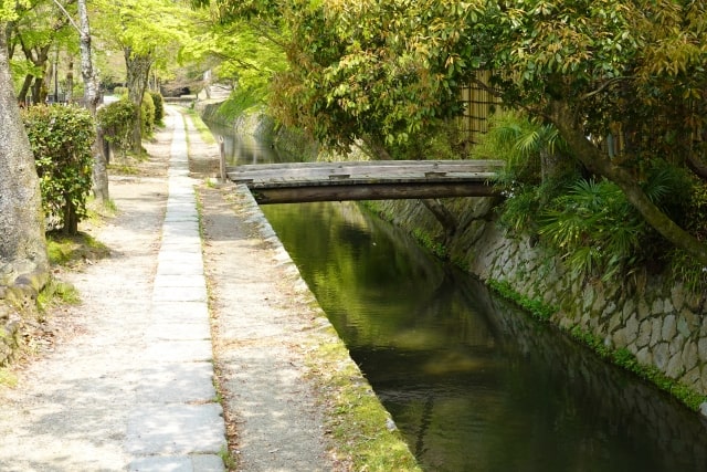 京都府の入札の傾向は？