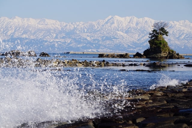 富山県の入札の傾向をつかむには？